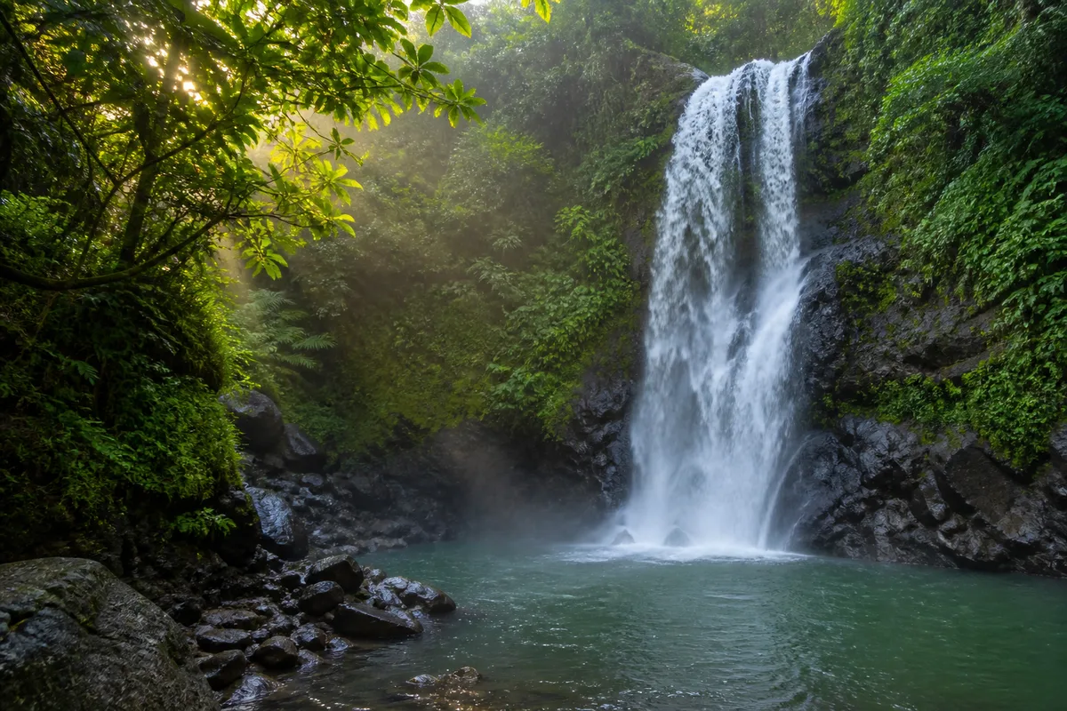 Cascade tropicale tombant dans un bassin naturel entouré de végétation luxuriante